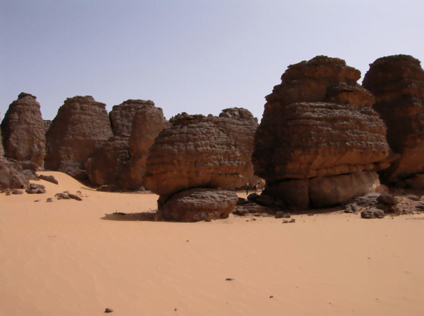 algerie structures