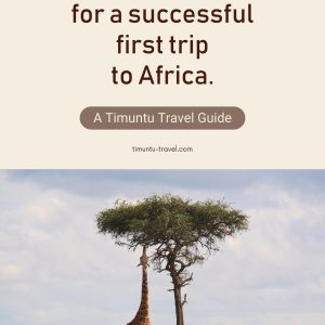 Les 5 conseils pour réussir son premier voyage en Afrique Guide gratuit
