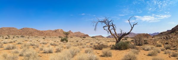 Les 5 conseils pour réussir son premier voyage en Afrique – Image 10