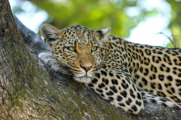 Les 5 conseils pour réussir son premier voyage en Afrique – Image 9